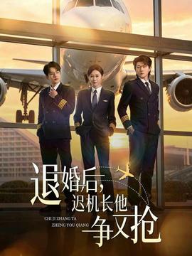 退婚后，迟机长他争又抢——扫毒风暴全集高清完整版免费观看